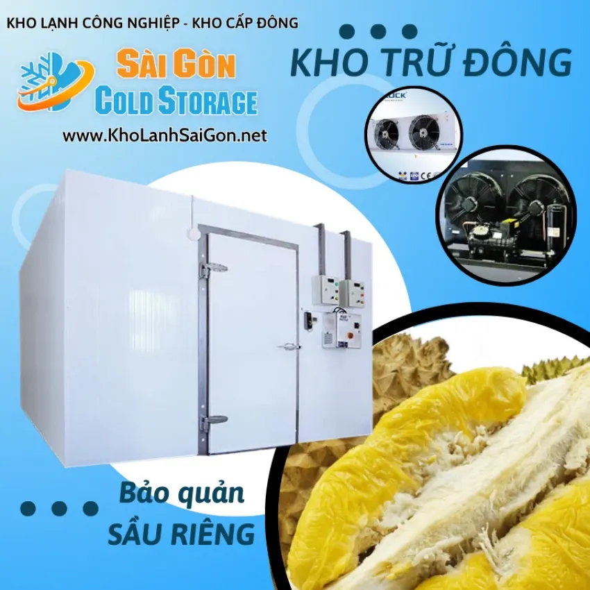 Kho Lạnh Bảo Quản Sầu Riêng 7 Kho Lạnh Bảo Quản Sầu Riêng