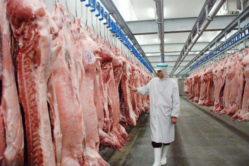 Bảo quản thịt cá đông lạnh trong kho lạnh hiện đại