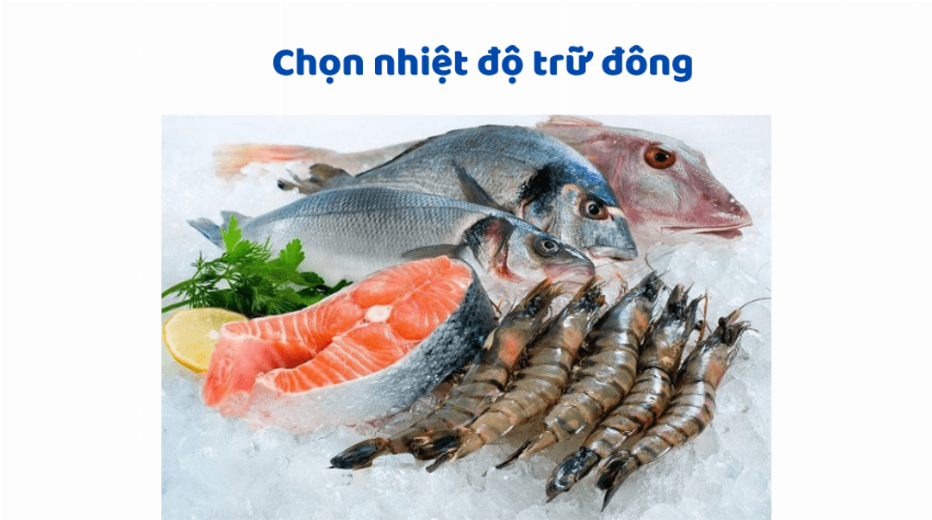 Chọn kho lạnh phù hợp