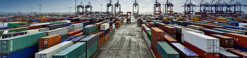 Khám Phá Các Loại Container Lạnh