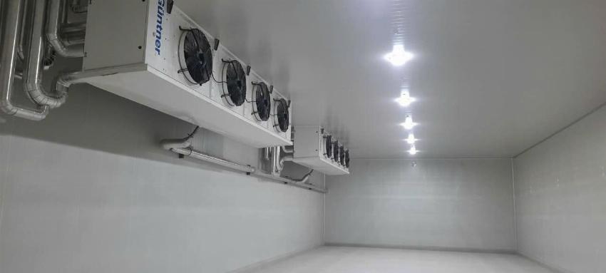 Hệ thống kho lạnh hiện đại với công nghệ tiên tiến