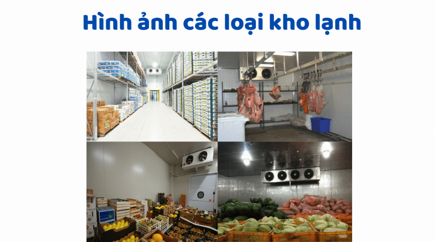 Hình ảnh kho lạnh bảo quản thực phẩm