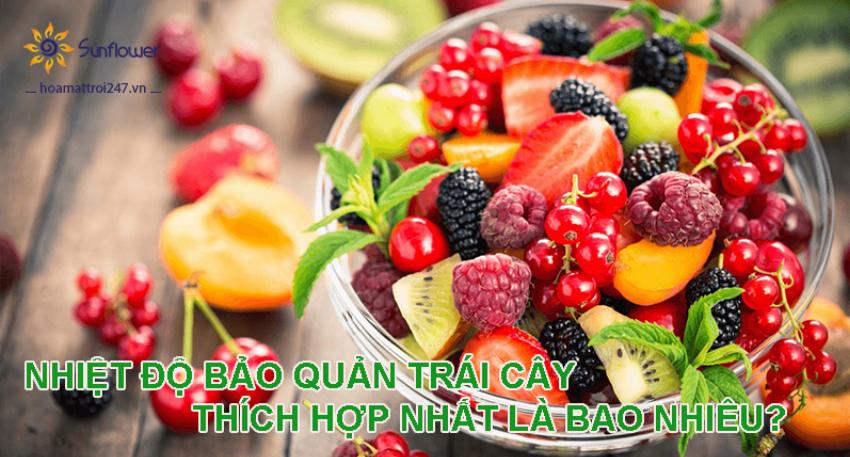 Nhiệt Độ Bảo Quản Trái Cây Nhiệt Đới
