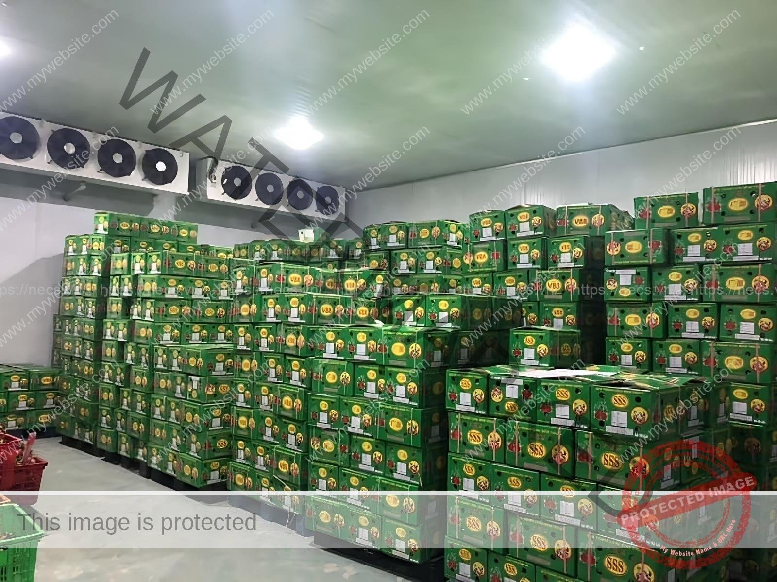 Hướng Dẫn Kỹ Thuật Bảo Trì Kho Lạnh Công Nghiệp Đạt Chuẩn 2026 2 Ky thuat may nen